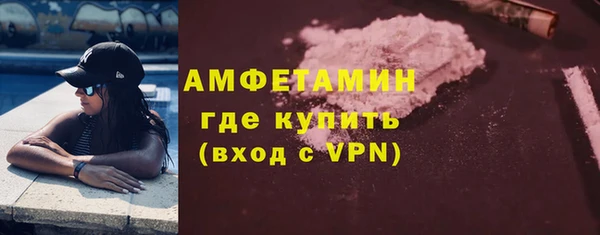 крисы Алзамай