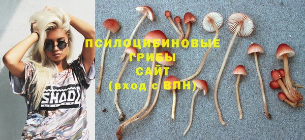 крисы Алзамай