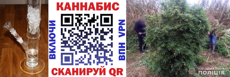 наркотики  Дивногорск  Конопля Ganja 